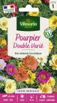 Fleurs - Pourpier Double Varié - PACKAGING_RECTO